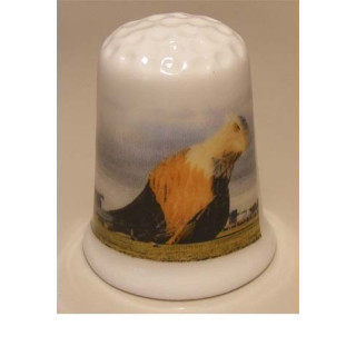 Luchtballon op een porselein vingerhoedje nr04