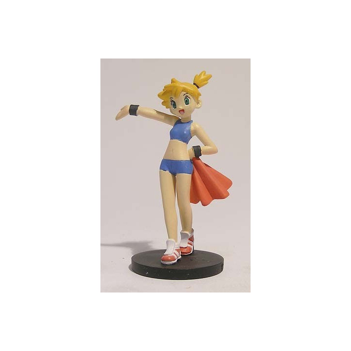 Misty Pokemon trainer