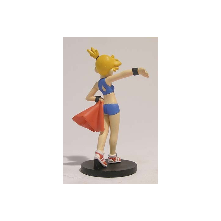 Misty Pokemon trainer