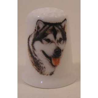 Alaskan Malamute hond op een porselein vingerhoedje