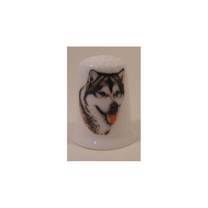 Alaskan Malamute hond op een porselein vingerhoedje