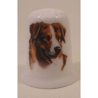 Australian Shepherd hond op een porselein vingerhoedje