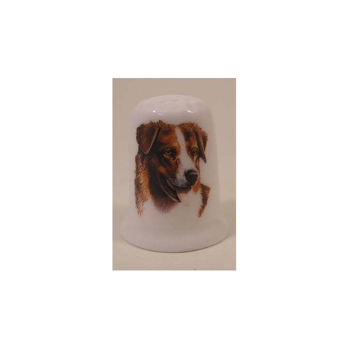 Australian Shepherd hond op een porselein vingerhoedje