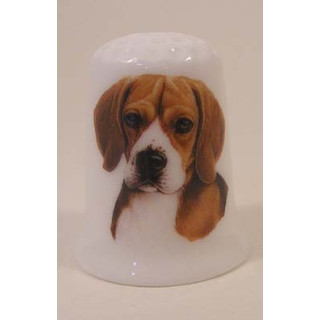 Beagle hond op een porselein vingerhoedje