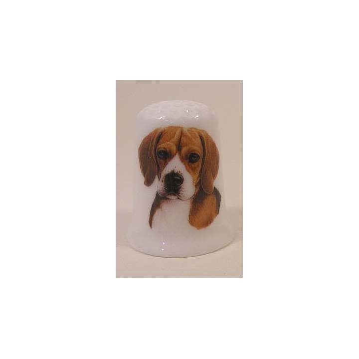 Beagle hond op een porselein vingerhoedje