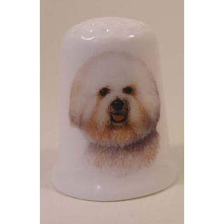 Bichon Frise hond op een porselein vingerhoedje