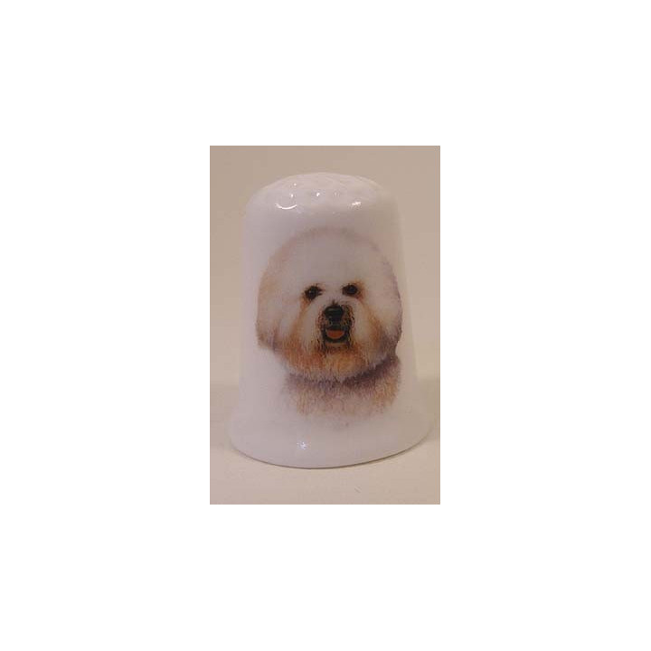 Bichon Frise hond op een porselein vingerhoedje