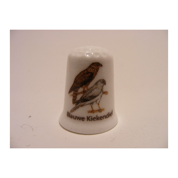 Blauwe kiekendief roofvogel Circus cyaneus op een porselein vingerhoedje