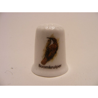 Boomkruiper zangvogel vingerhoedje