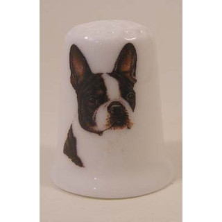 Boston Terrier hond op een porselein vingerhoedje