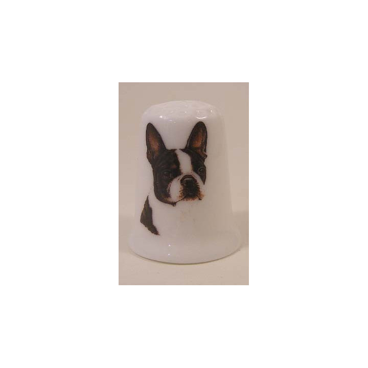 Boston Terrier hond op een porselein vingerhoedje