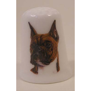 Boxer Brindle hond op een porselein vingerhoedje