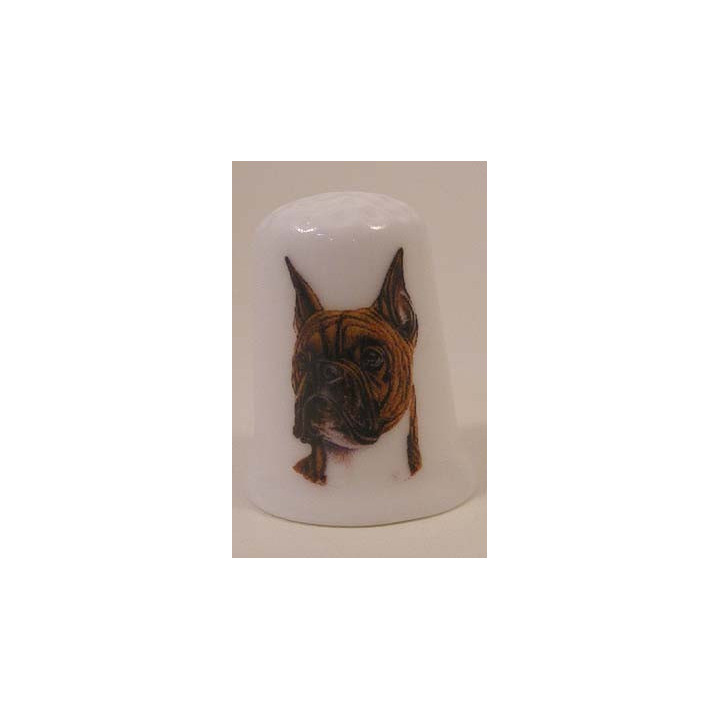 Boxer Brindle hond op een porselein vingerhoedje