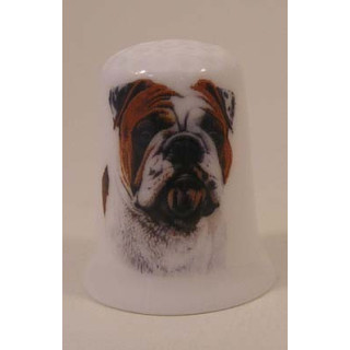 Bulldog hond op een porselein vingerhoedje