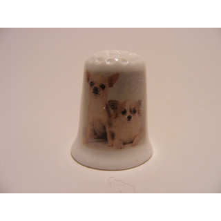 Chihuahua 2 stuks op een porselein vingerhoedje