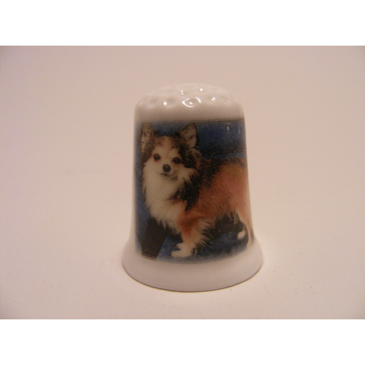 Chihuahua langharig op een porselein vingerhoedje Chihuahua langharig op een porselein vingerhoedje
