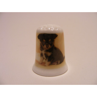 Chihuahua pup op een porselein vingerhoedje Chihuahua pup op een porselein vingerhoedje