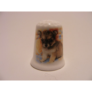 Chihuahua puppie op een porselein vingerhoedje Chihuahua puppie op een porselein vingerhoedje