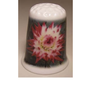 Dahlia bloem foto op een porselein vingerhoedje Dahlia bloem foto op een porselein vingerhoedje