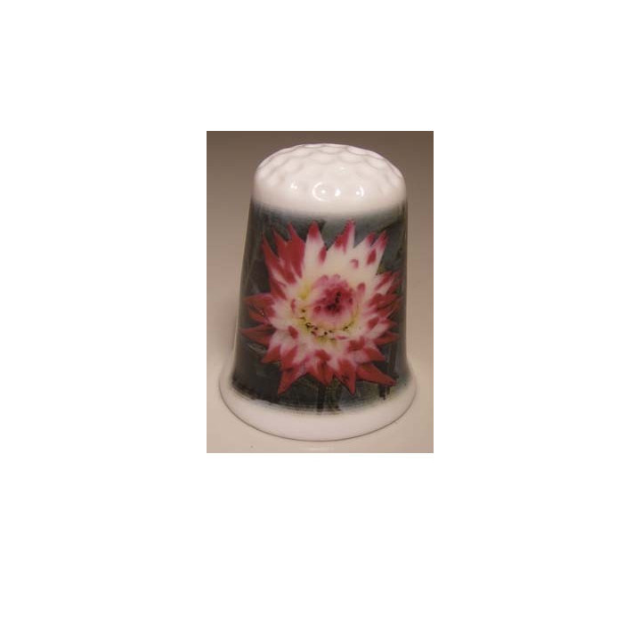 Dahlia bloem foto op een porselein vingerhoedje