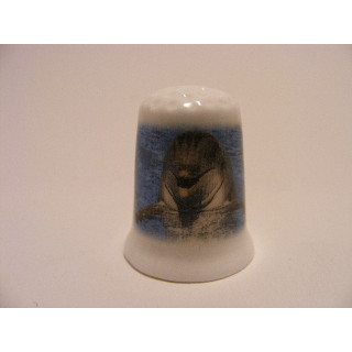 Dolfijn in het water op een foto op een porselein vingerhoedje Dolfijn in het water op een foto op een porselein vingerhoedje