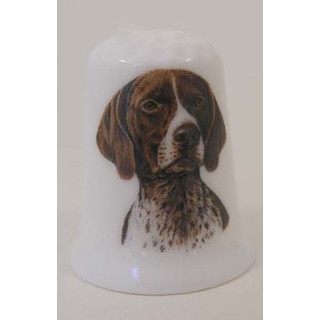 Duitse staander kortharig hond op een porselein vingerhoedje Duitse staander kortharig hond op een porselein vingerhoedje