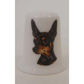 Dwerg Pincher hond op een porselein vingerhoedje Dwerg Pincher hond op een porselein vingerhoedje