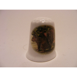 Eekhoorn foto afbeelding op een porselein vingerhoedje Eekhoorn foto afbeelding op een porselein vingerhoedje