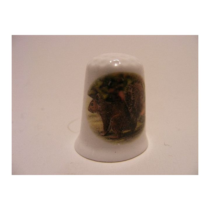 Eekhoorn foto afbeelding op een porselein vingerhoedje Eekhoorn foto afbeelding op een porselein vingerhoedje