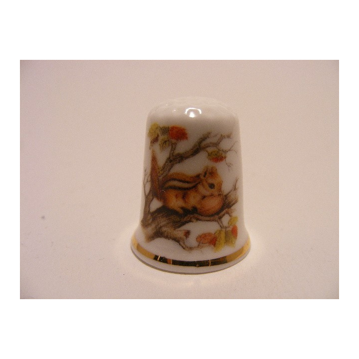 Eekhoorn in boom afbeelding op een porselein vingerhoedje Eekhoorn in boom afbeelding op een porselein vingerhoedje