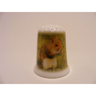 Eekhoorn staand in het gras op een porselein vingerhoedje Eekhoorn staand in het gras op een porselein vingerhoedje