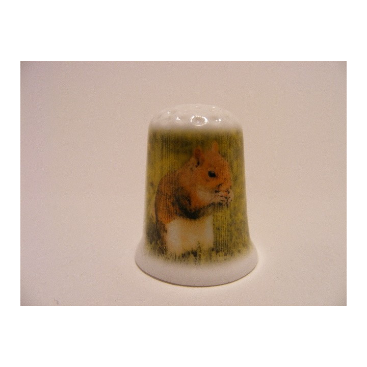 Eekhoorn staand in het gras op een porselein vingerhoedje