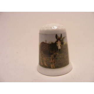 Ezel foto op een porselein vingerhoedje