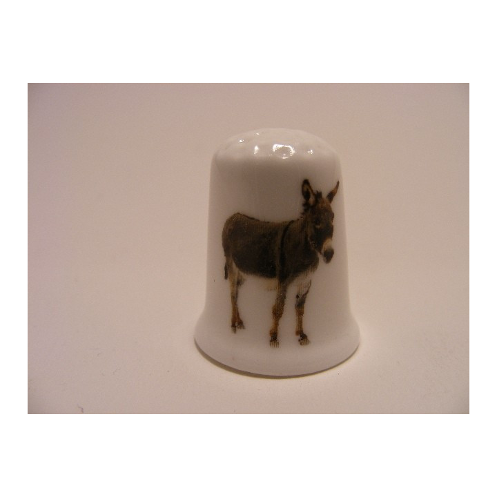 Ezel staand op een foto op een porselein vingerhoedje