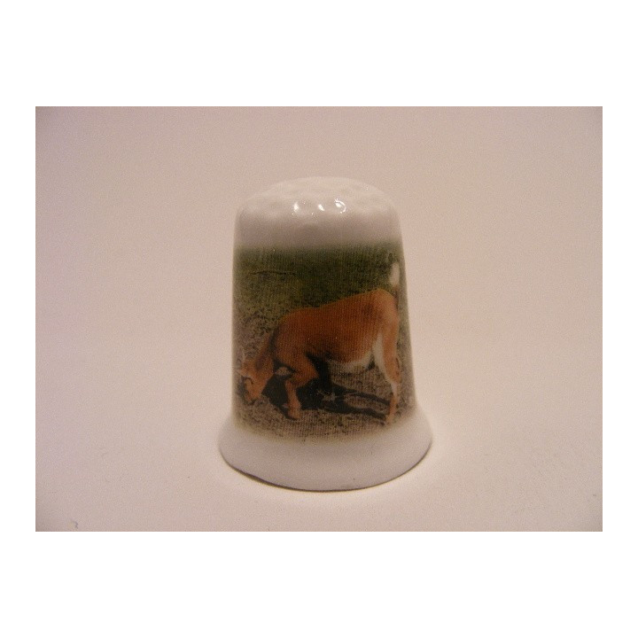 Geit aan het grazen op een foto op een porselein vingerhoedje