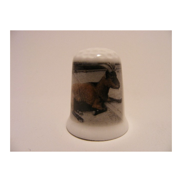 Geit liggend op de grond vingerhoedje