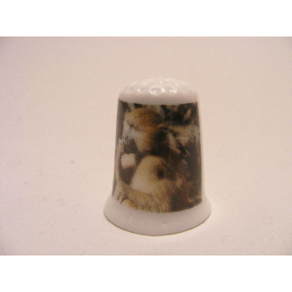 Gele baviaan Papio cynocephalus op een porselein vingerhoedje