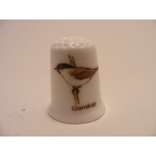 Glanskop zangvogel Poecile palustris op een porselein vingerhoedje