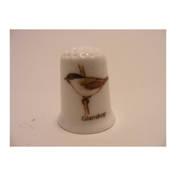 Glanskop zangvogel Poecile palustris op een porselein vingerhoedje