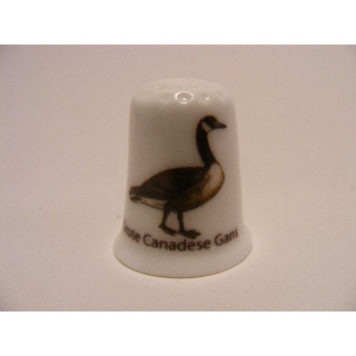 Grote Canadese gans vogel vingerhoedje