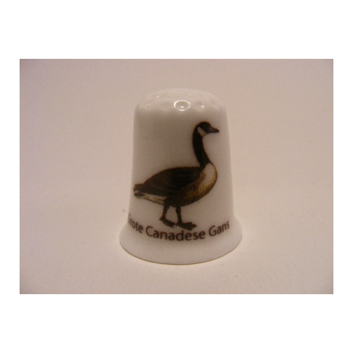 Grote Canadese gans vogel vingerhoedje