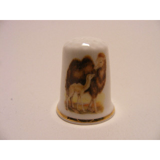 Kameel met jong afbeelding op een porselein vingerhoedje