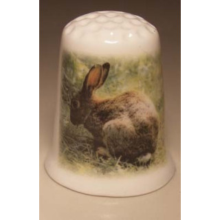 Konijn in het bos op een porselein vingerhoedje