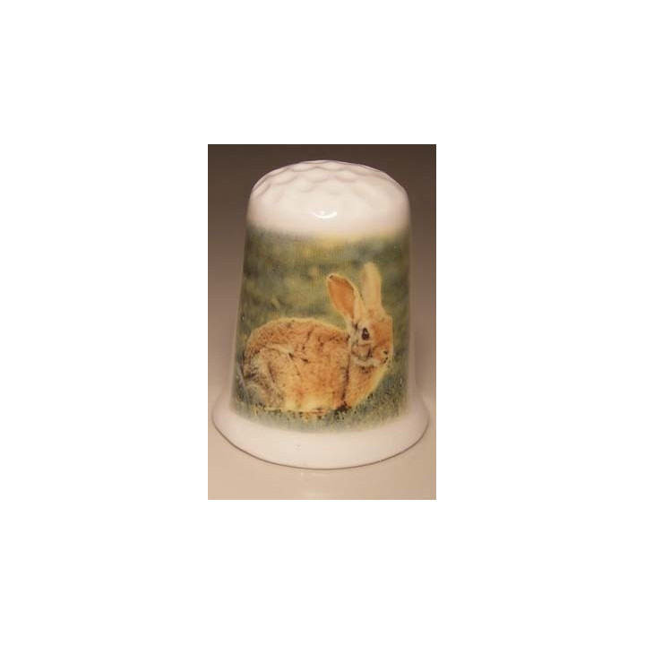 Konijn op een porselein vingerhoedje