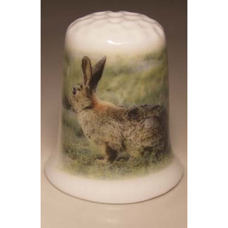 Konijn op het gras op een porselein vingerhoedje