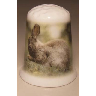 Konijn wast zich op een porselein vingerhoedje