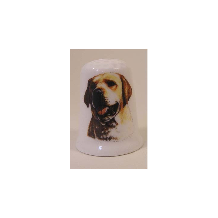 Labrador blond hond op een porselein vingerhoedje