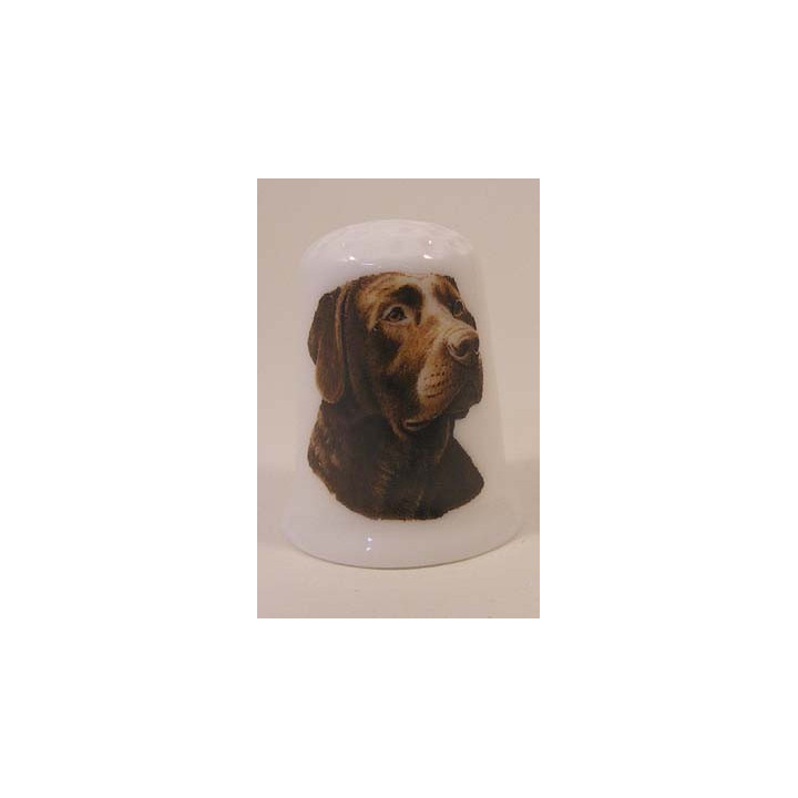 Labrador hond op een porselein vingerhoedje