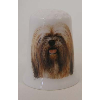 Lhasa Apso hond op een porselein vingerhoedje