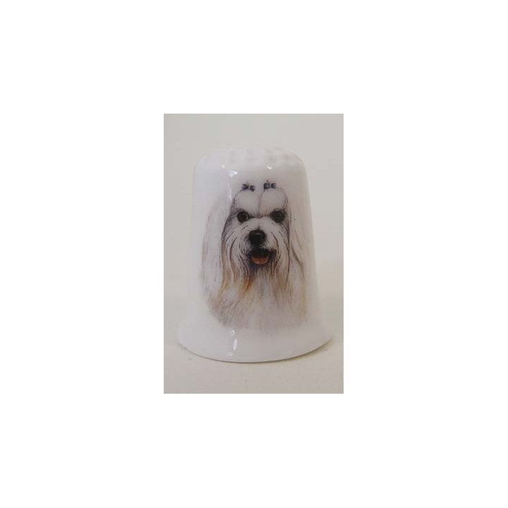 Malteser hond op een porselein vingerhoedje